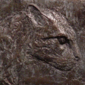 Ocelot