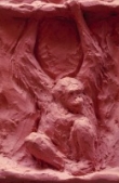 Orangutan