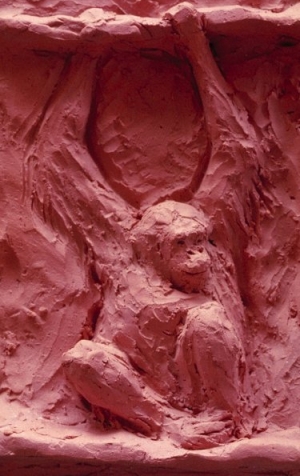 Orangutan
