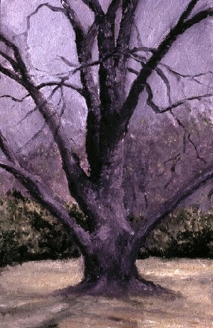 Pecan Tree